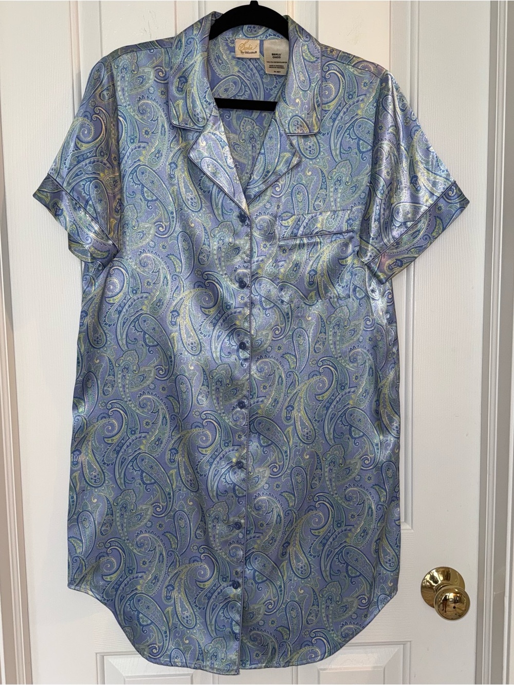 Vintage Silky Nighty Mini Buttondown Pajama Dress